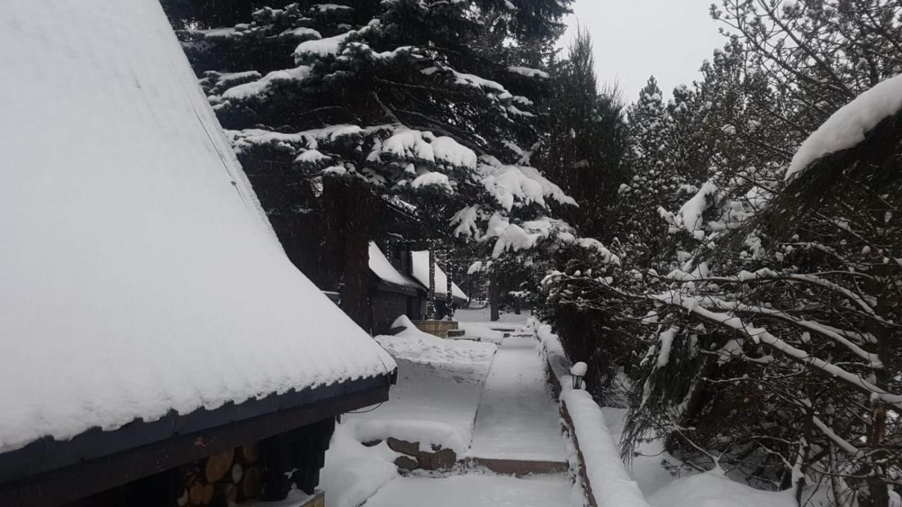 فيلا Oliwne Wzgorza Stronie Śląskie المظهر الخارجي الصورة